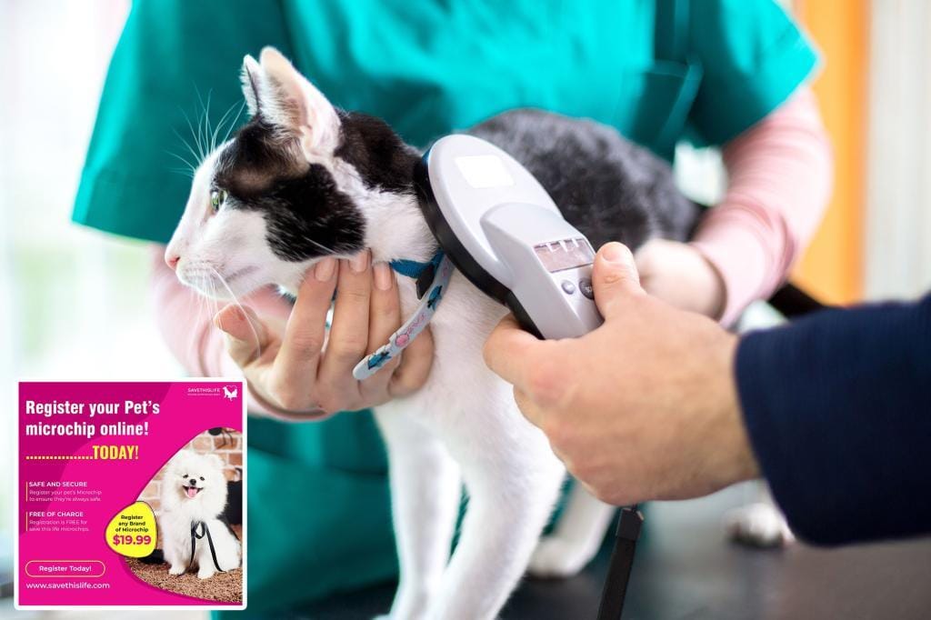 Pet owners worried after microchip company closure leaves pet safety in question