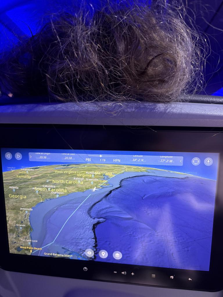 The plane passenger struggling to see the screen during the double flight on dark gray curly hair that flows from the seat forward.